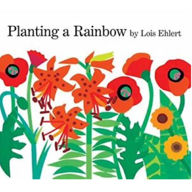 Planting a Rainbow – Large Board Book