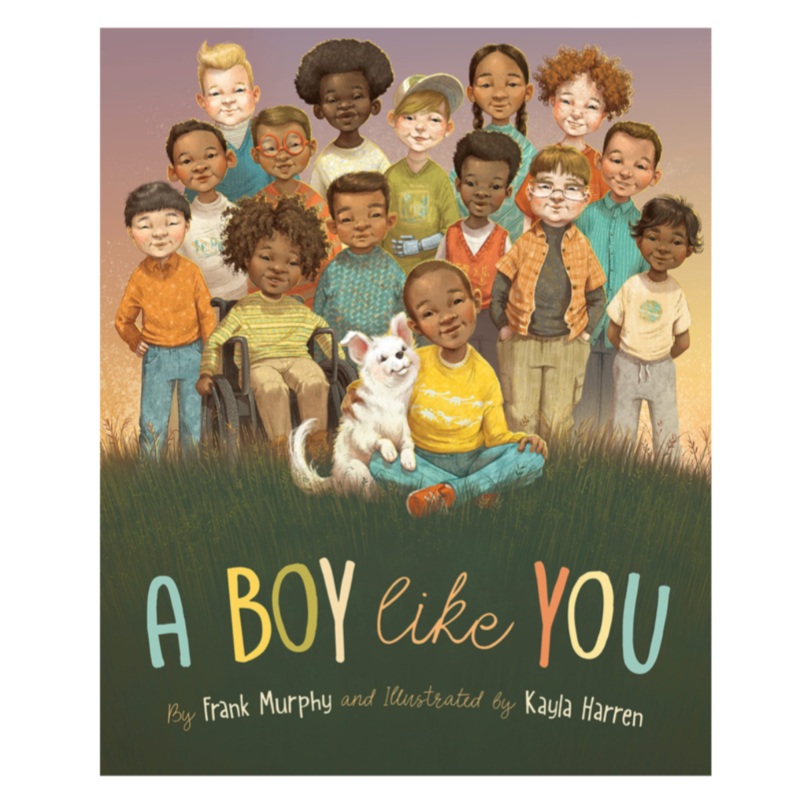 A Boy Like You – Hardcover