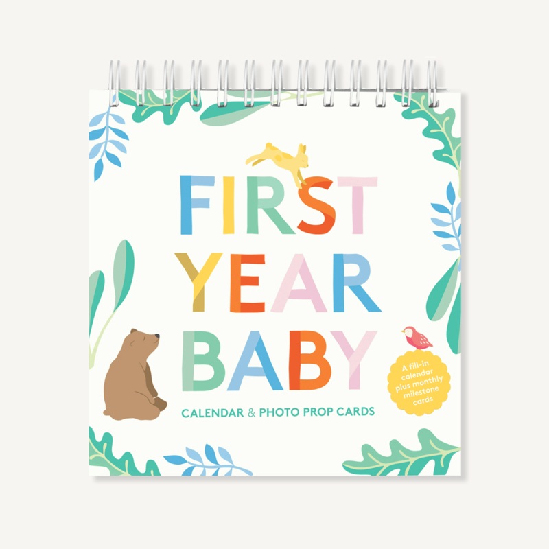 First Year Baby Calendar & Photo Prop Cards
