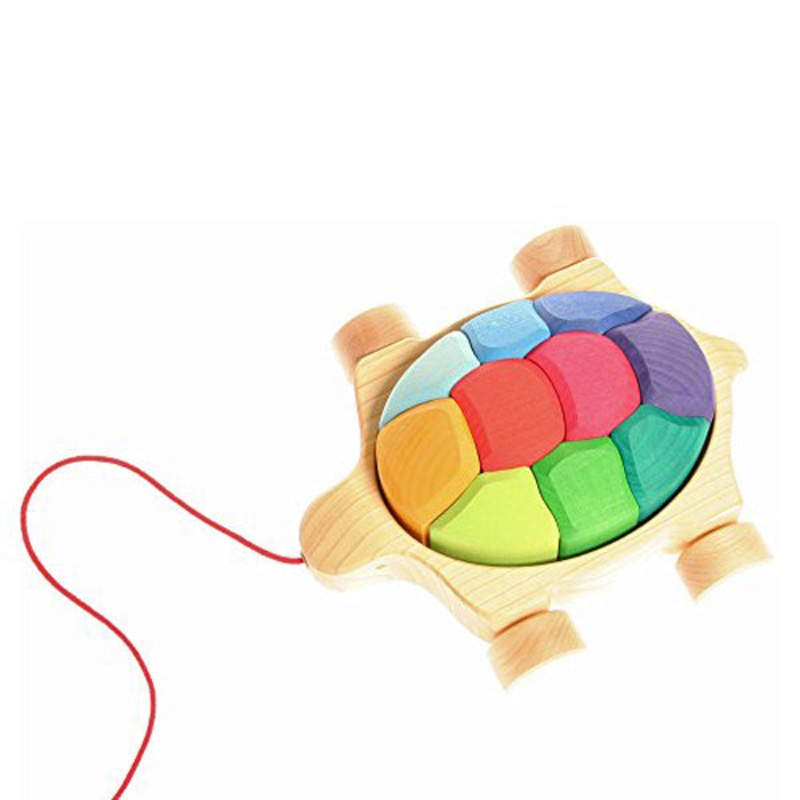 Rainbow Turtle by Grimm’s