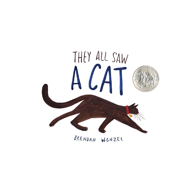 They All Saw A Cat – Hardcover