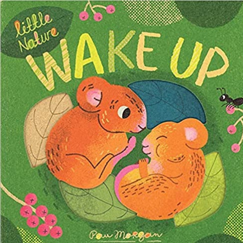 Wake Up – Little Nature Board Book
