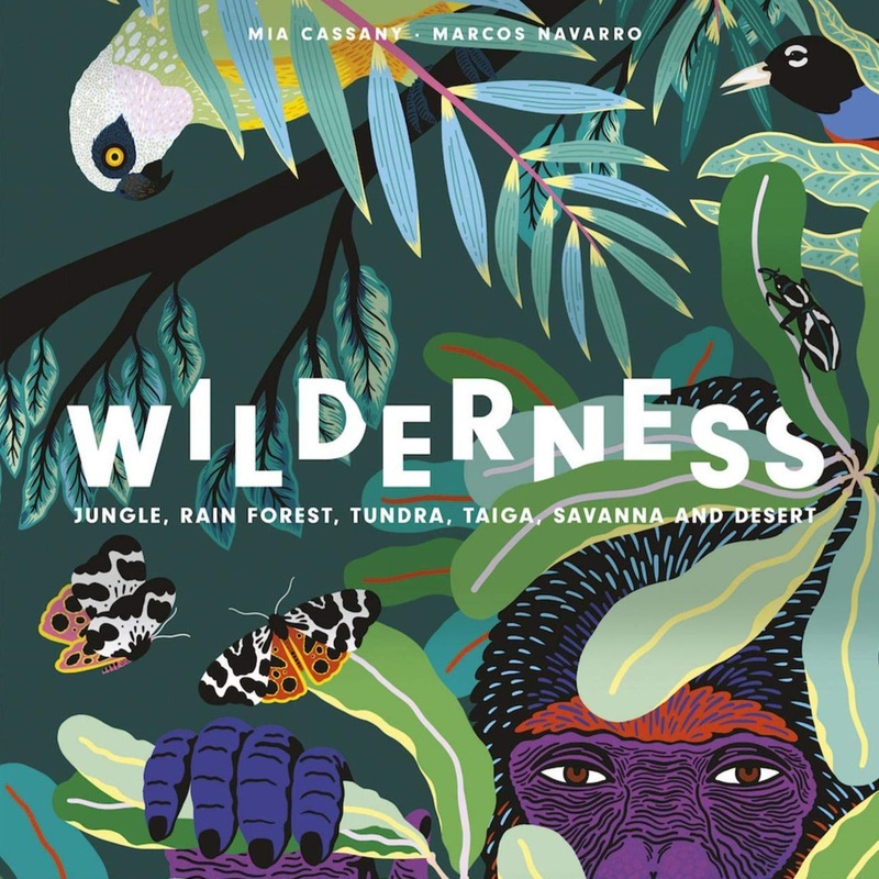 Wilderness: Earth’s Amazing Habitats – Hardcover