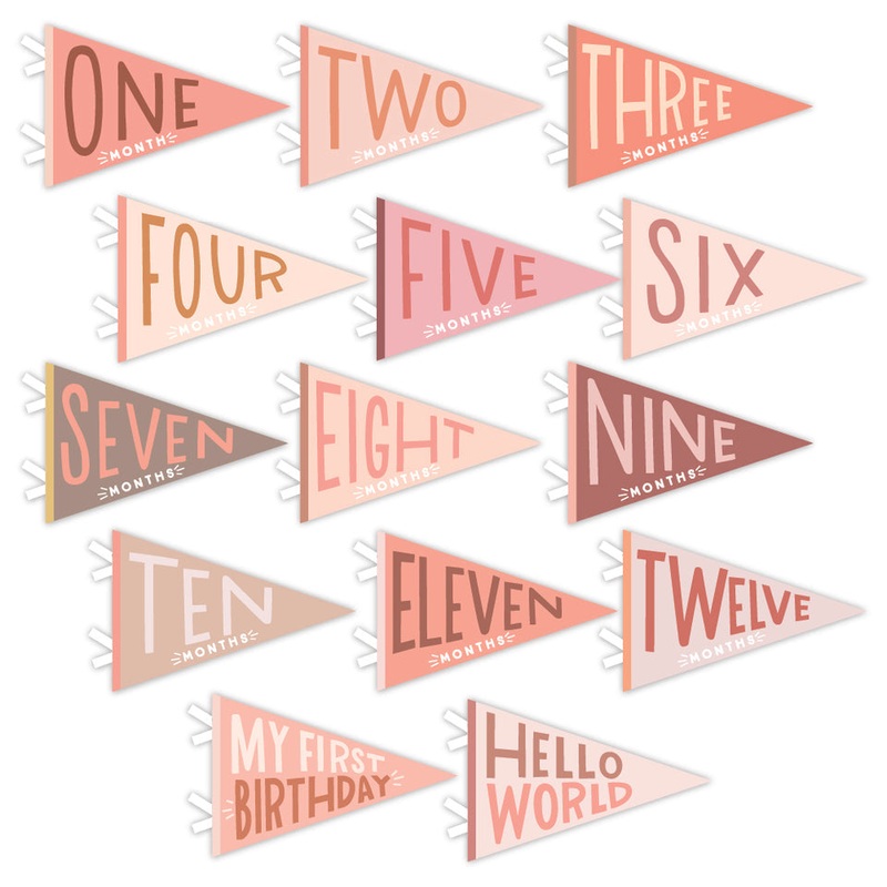 Blushing Meadow Petit Milestone Pennant by Lucy Darling
