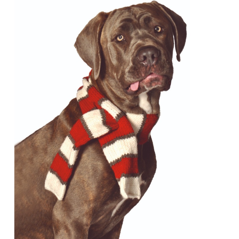 Wool Dog Scarf – Red/White Stripe by Chilly Dog