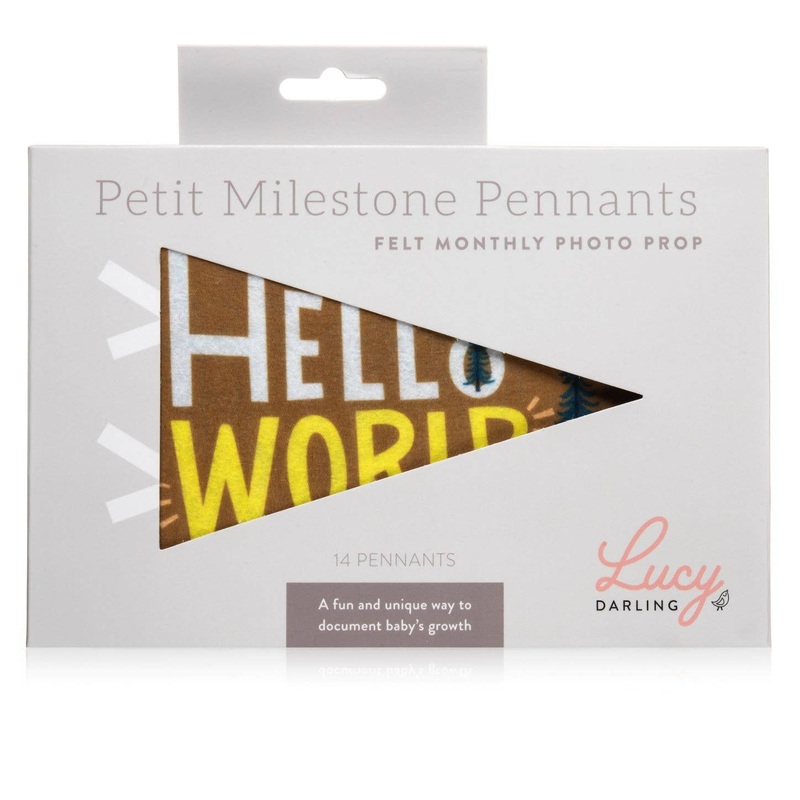 Little Camper Petit Milestone Pennant by Lucy Darling