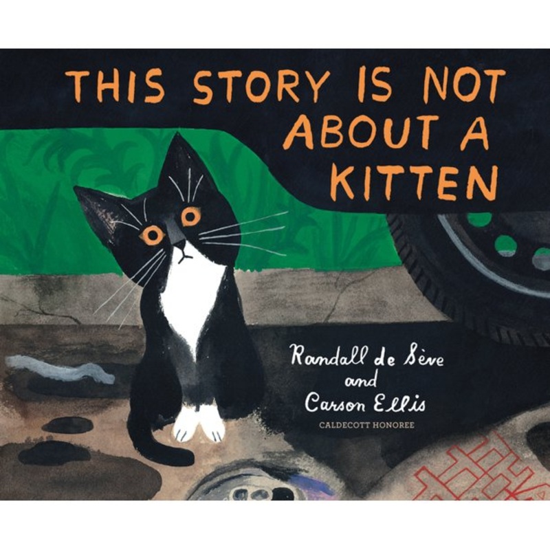 This Story is Not About a Kitten – Hardcover