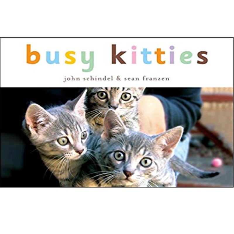 Busy Kitties – Board Book