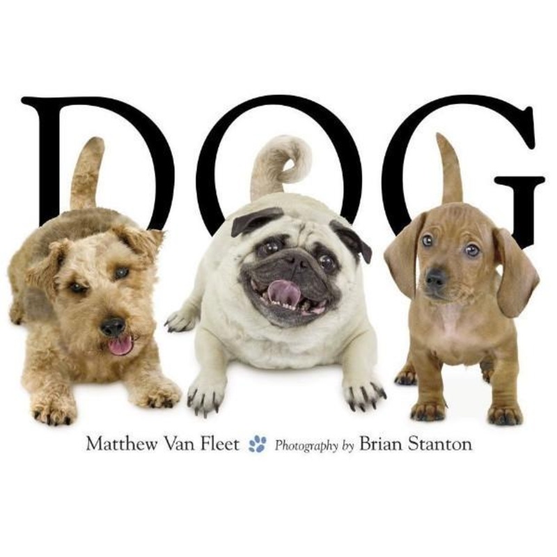 Dog – Interactive Hardcover