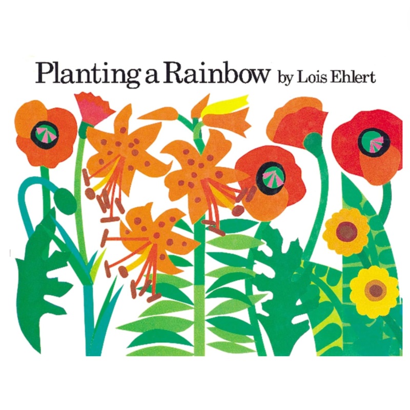 Planting a Rainbow – Small Board Book