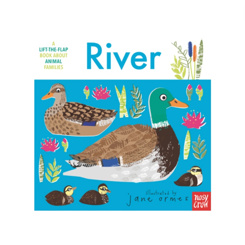 Animal Families: River – Board Book