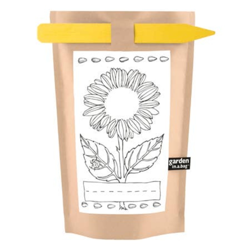 Kids’ Garden in a Bag – Sunflower by Potting Shed Creations