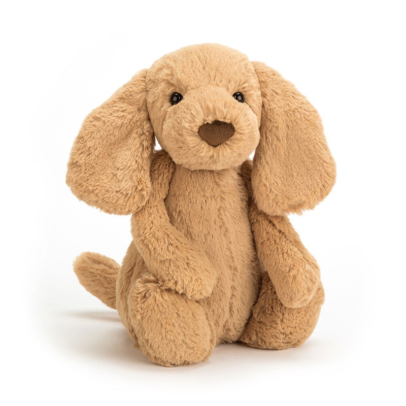 Bashful Toffee Puppy – Little 7 Inch by Jellycat