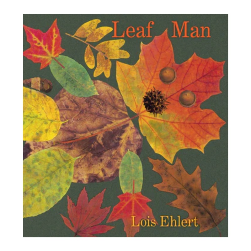 Leaf Man – Board Book