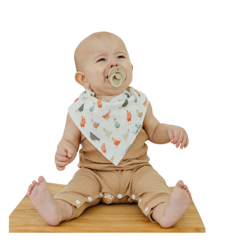 Single Bandana Bib – Farmstead by Copper Pearl