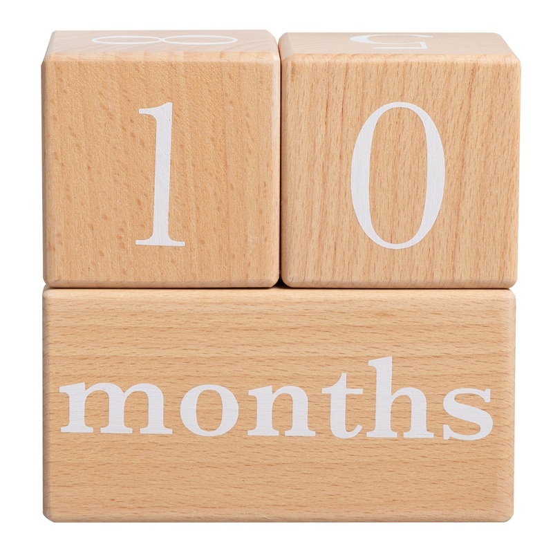 Natural Wooden Milestone Blocks Photo Prop by Pearhead